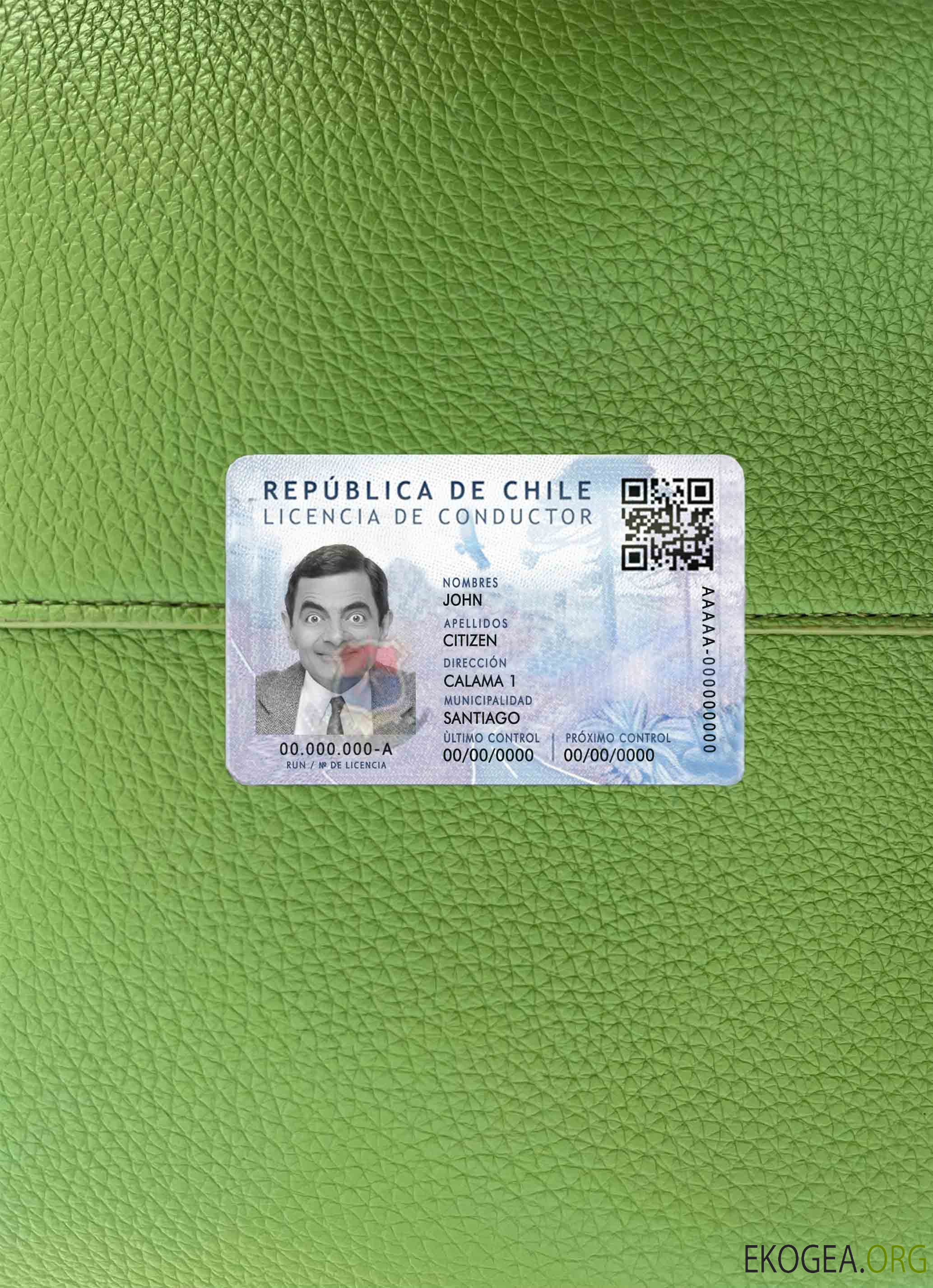 Chili Dl psd photolook AVANT